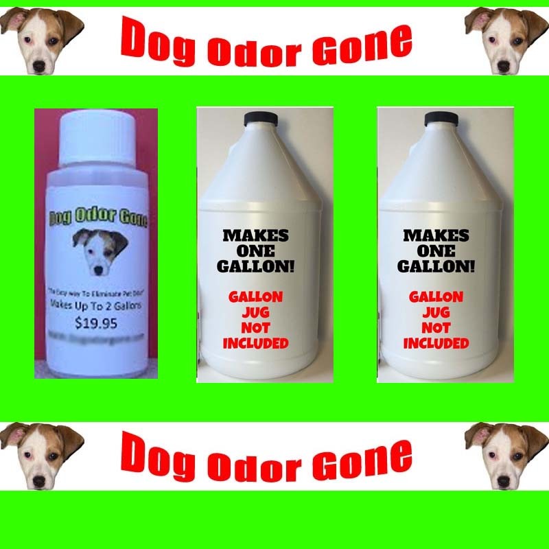 Dog Odor Gone – Industrial Strength Pet Odor Remover 1oz Makes 2 Gallons