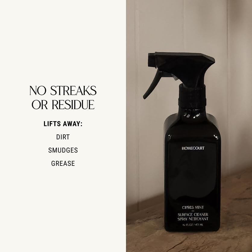 Homecourt All-Purpose Surface Cleaner Spray, Lifts Away 16 Fl Oz (Pack of 1)
