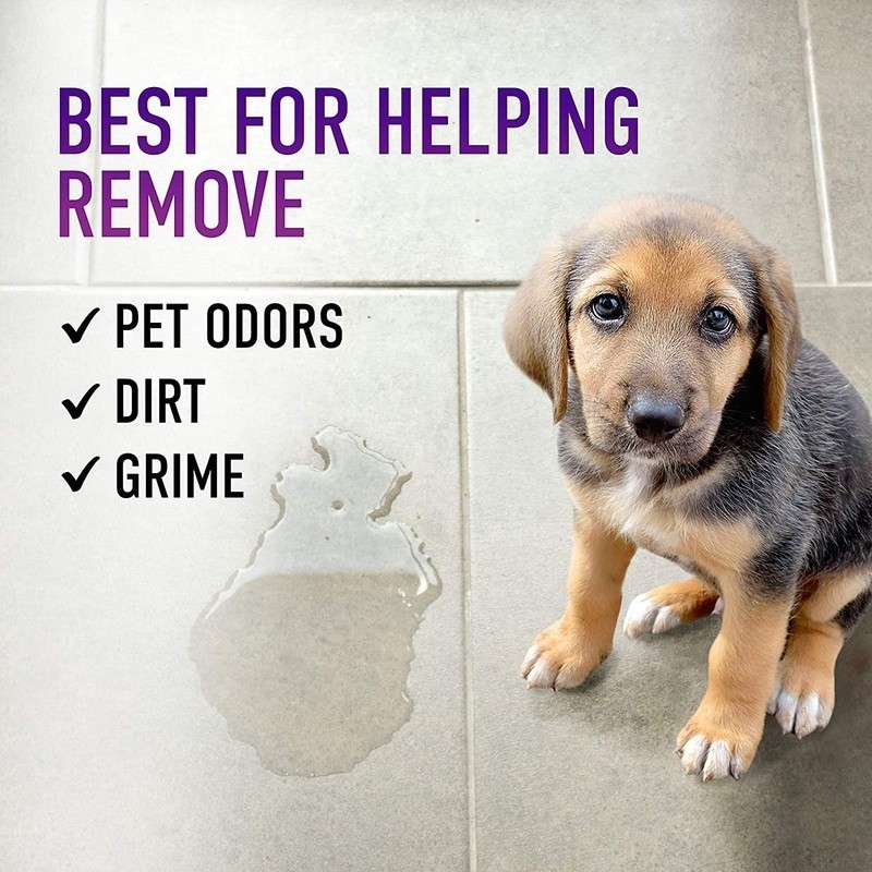 Pet Hard Floor Cleaning Solution Enzymatic Jasmine Breeze Odor Eliminator 32oz