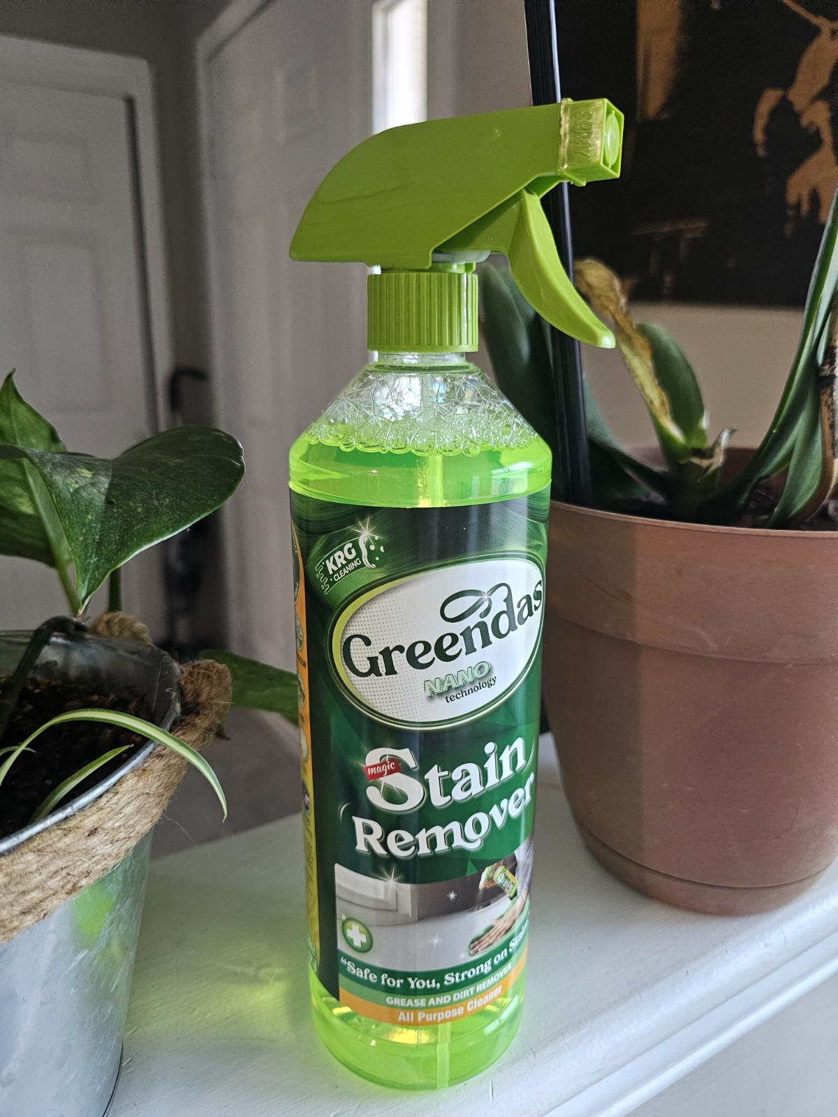 Greendas Nano Technology Stain Remover