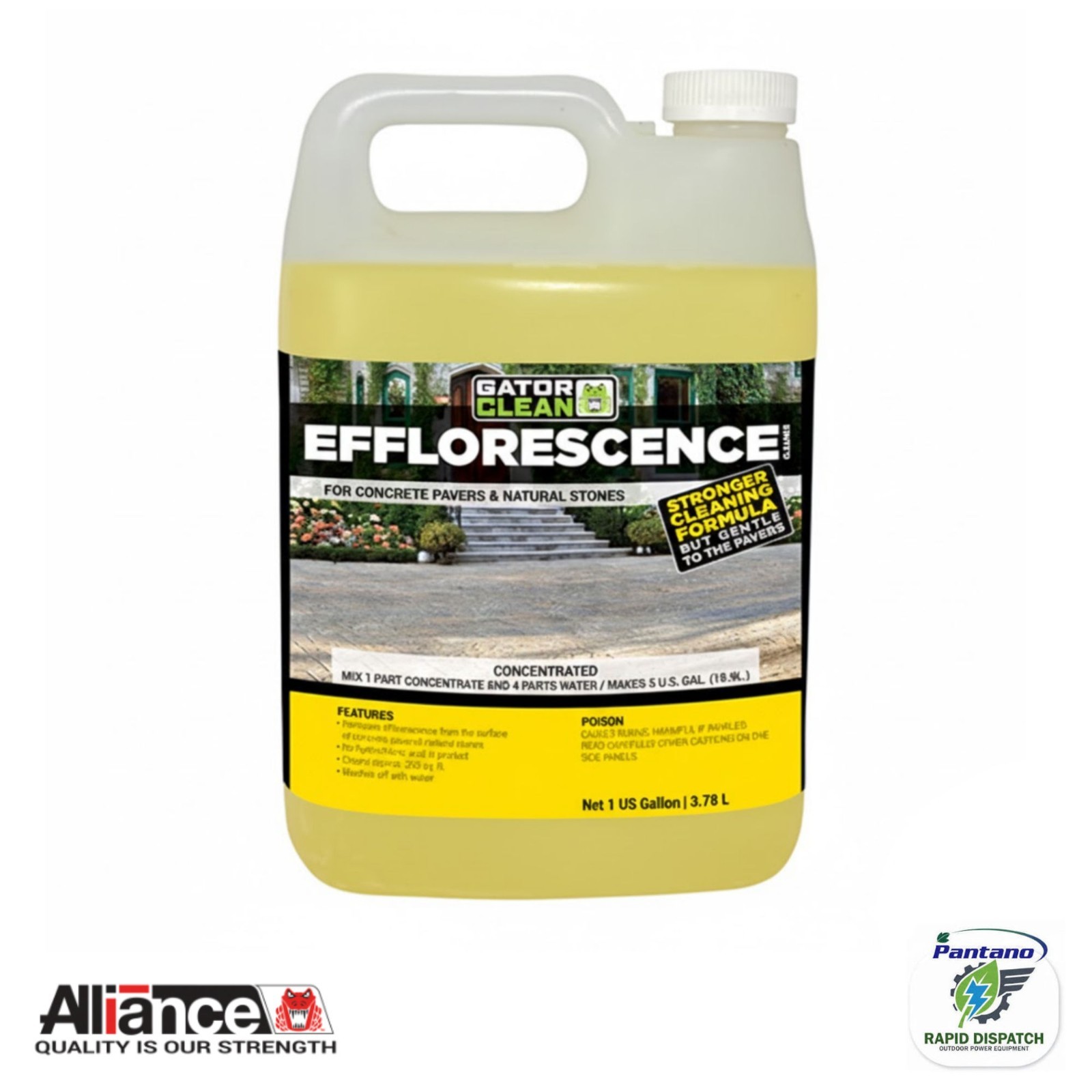 Alliance Gator Clean Efflorescence Cleaner 1 Gal for Pavers & Natural Stone