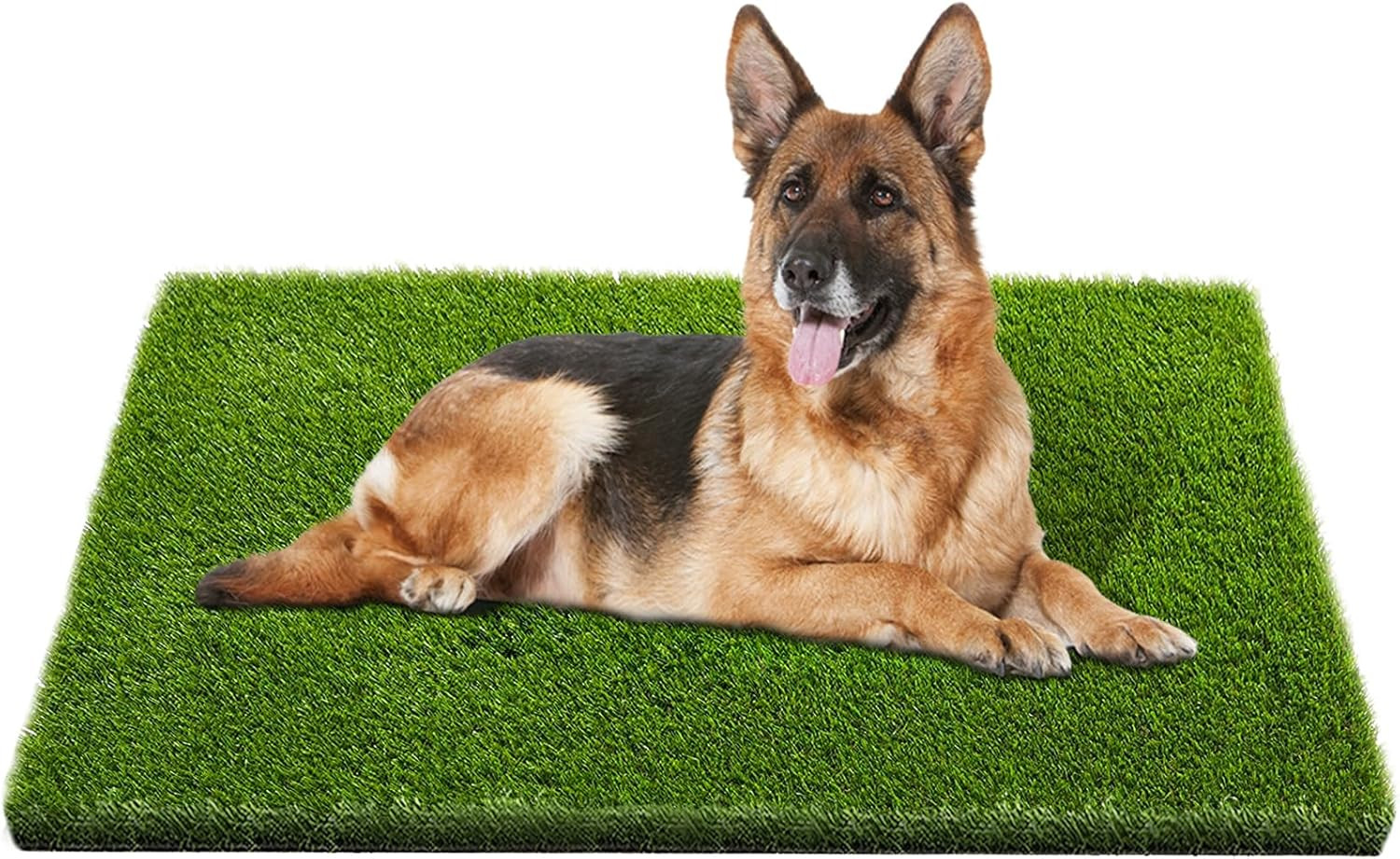 Artificial Grass, 47.3″X31.5″ Professional Dog Grass Mat, Potty Training Rug and