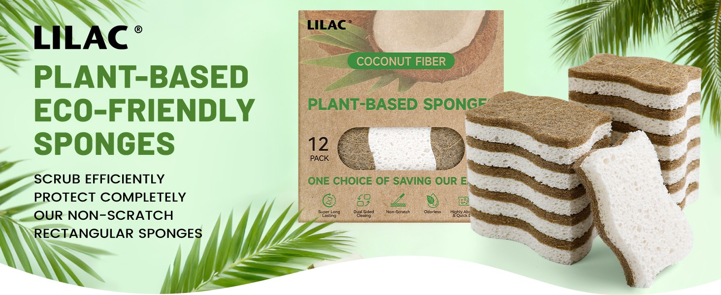 12 Pack Natural Cellulose Sponges for Dishes – Non-Scratch Kitchen Scrub Sponges