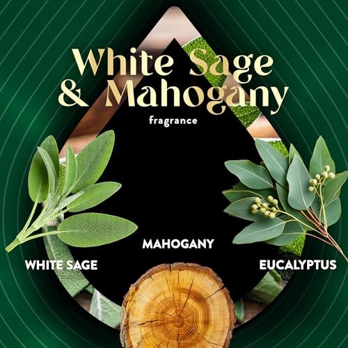 Air Wick Plug In Scented Oil Refills, White Sage & Mahogany, 5 Count