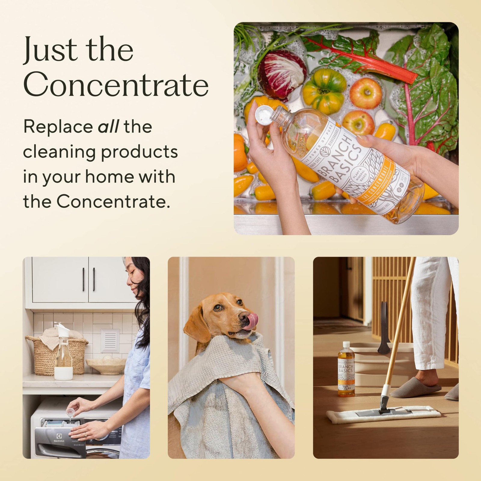Concentrate Refill (33.8 oz) | All Purpose Multi-Surface Cleaning Concentrate…