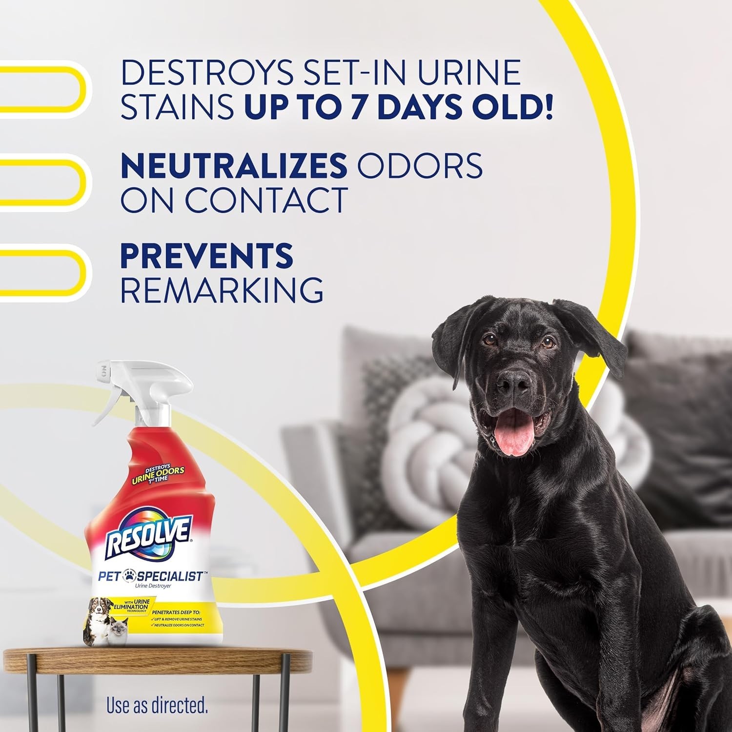 Resolve Urine Destroyer Spray Stain & Odor Remover, Transparent, No Flavor, 22 F