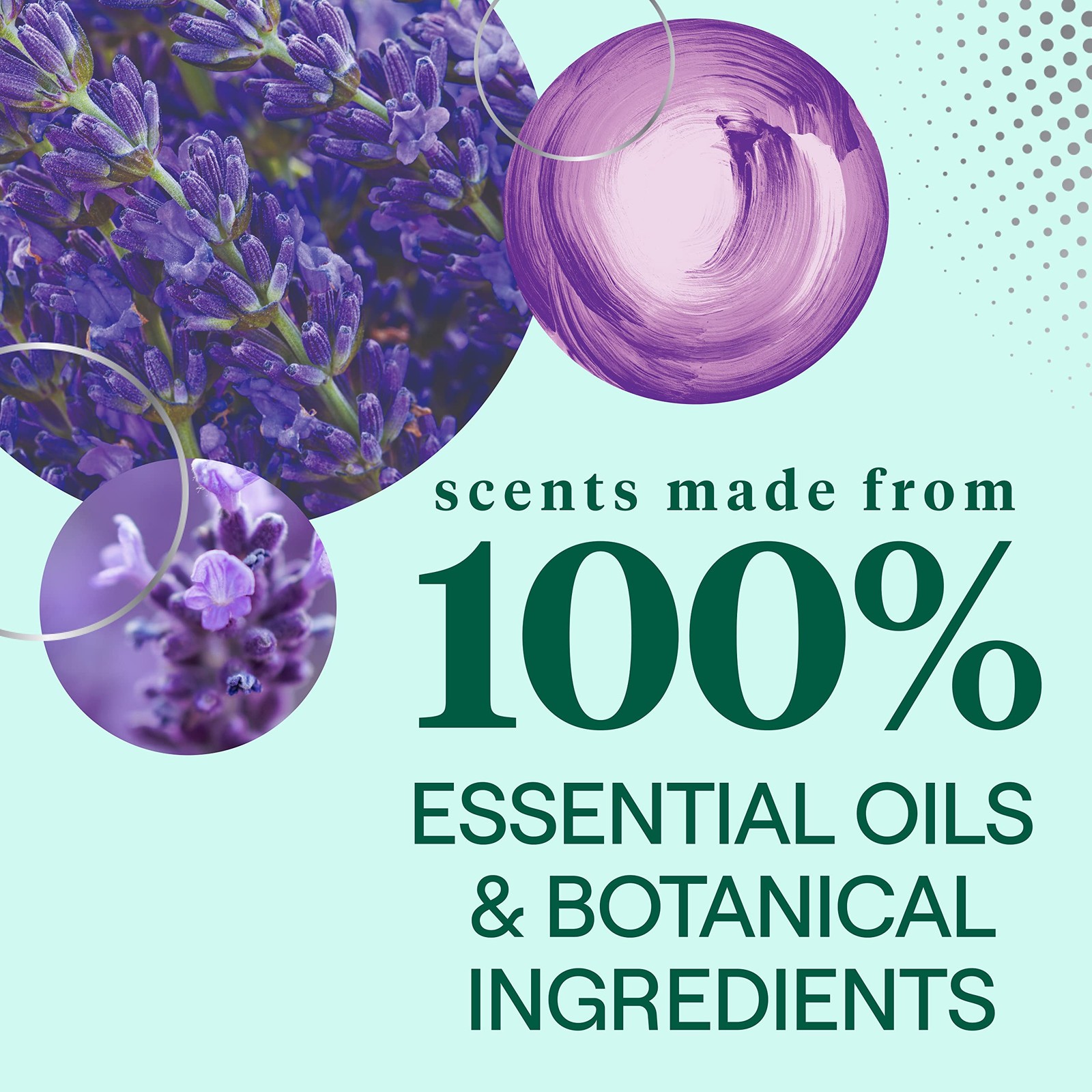 Seventh Generation Dish Soap Lavender & Mint 6 Pack 19 oz
