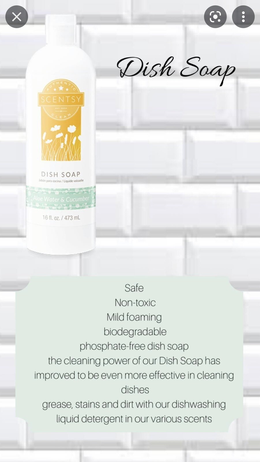 Scentsy DISH SOAP ~ Clean Smell ~ Full Sz Scented VerySnowy Spruce Citrus Grotto