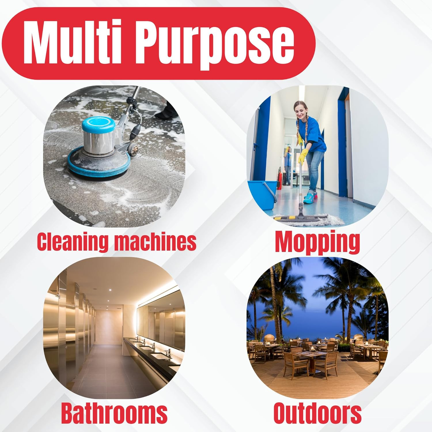 Commercial Multi-Purpose Enzyme Cleaner & Odor Eliminator | Pet & Human Urine, S
