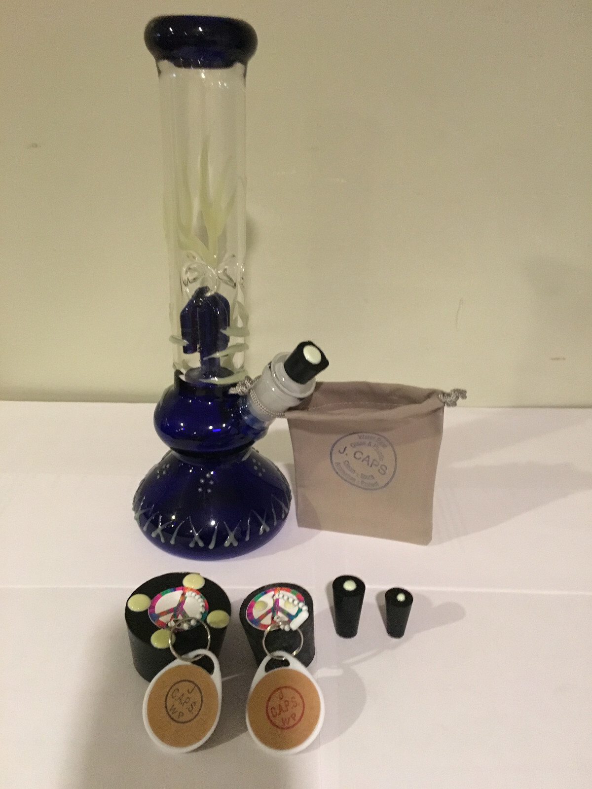 Glass / plastic Rig cleaning and storage caps