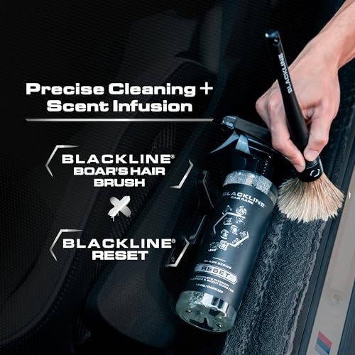 Luxury Scented Leather Interior Car Cleaner 16 Fl Oz (Pack of 1) Dark Ice