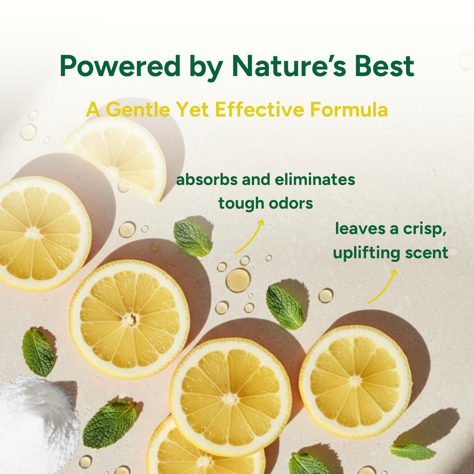 Good Natured Brand Carpet Deodorizer Lemon 31 oz