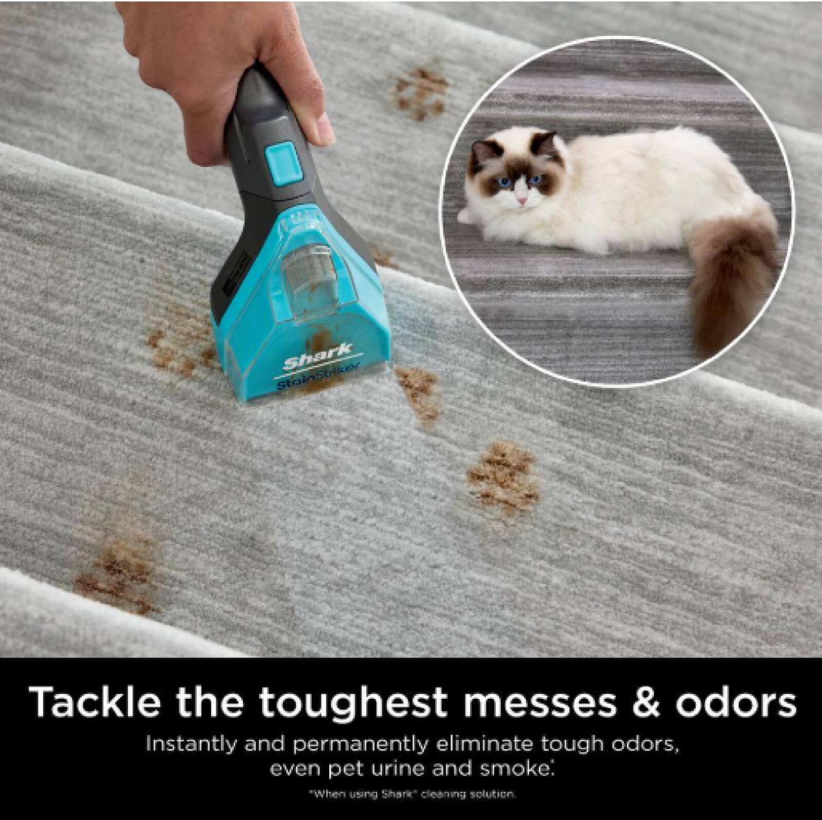 32 oz. StainStriker Carpet Cleaner OXY Multiplier Formula for Upright, Portable