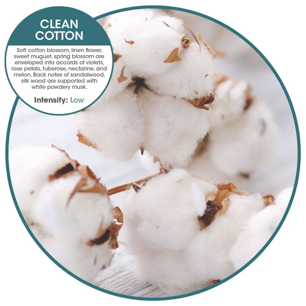 Fresh Products OFE36CBBX ourfreshE Refills – Cotton Blossom (6/BX) New