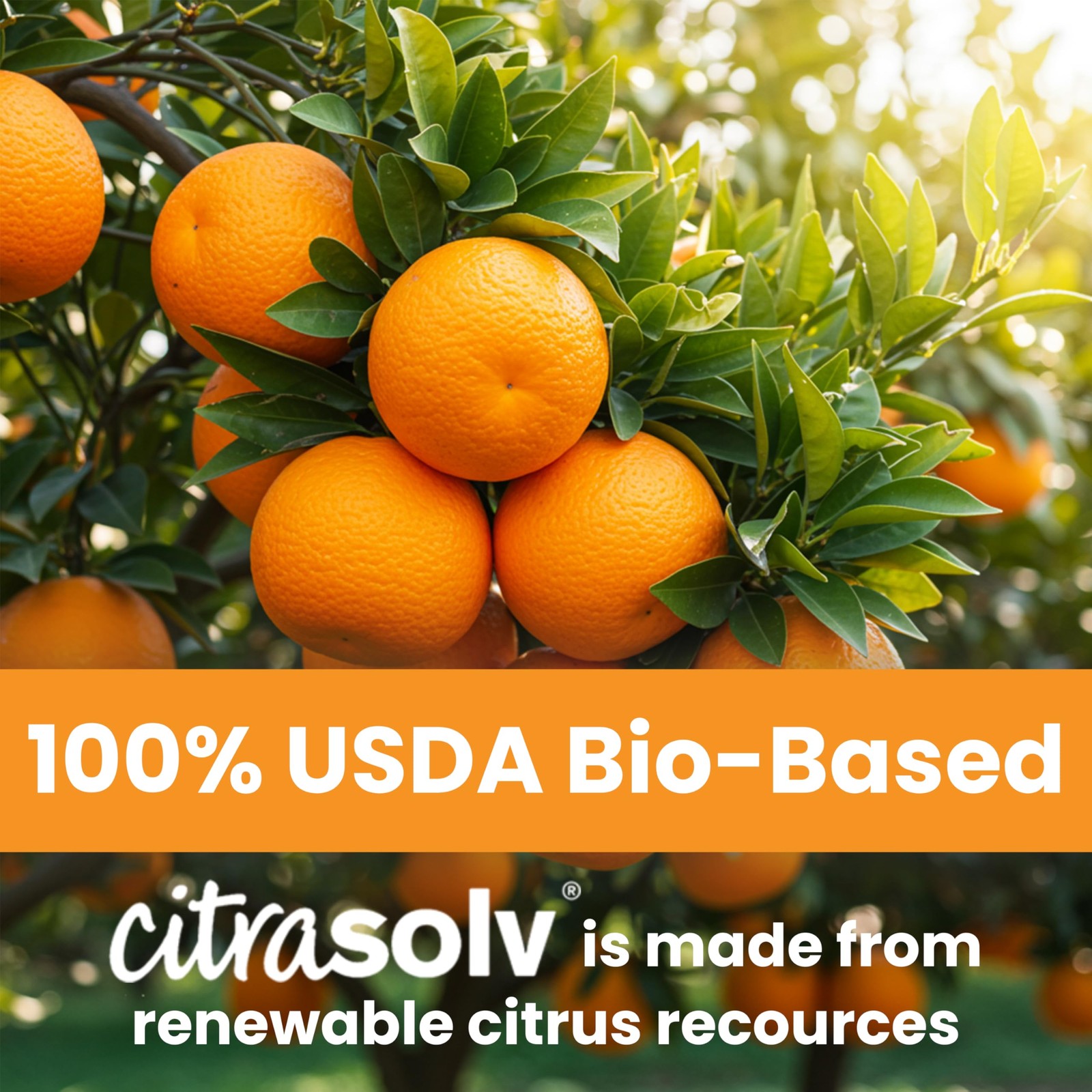 Citra Solv Citrus Solvent Orange Cleaner 32 Oz. 32 Oz