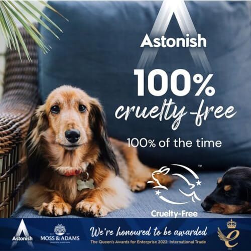 Astonish Oven Cleaner Paste 5.29oz Multi Purpose Grease Baked On Dirt Remover