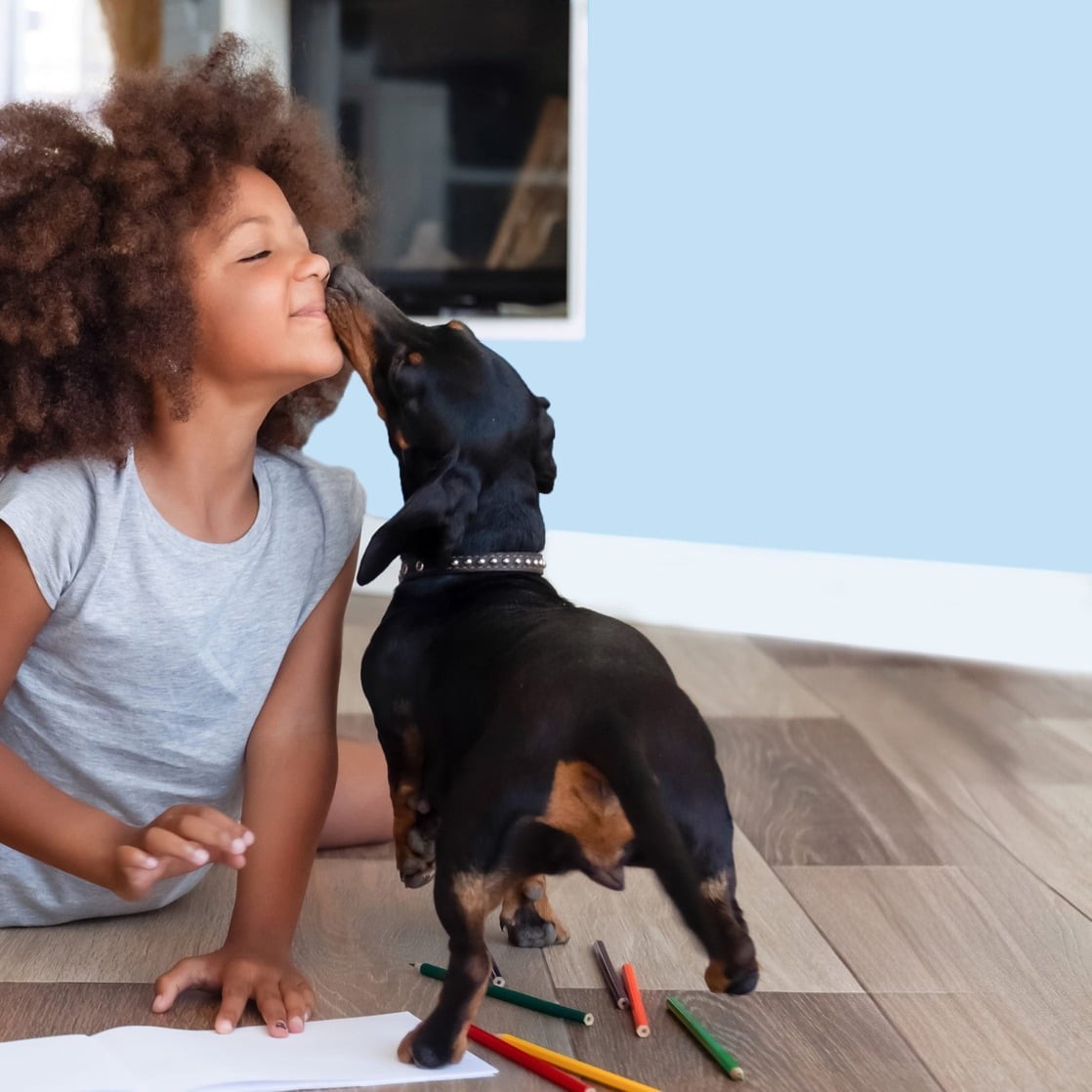 ® Hardwood Floor Cleaner 22 Fl Oz