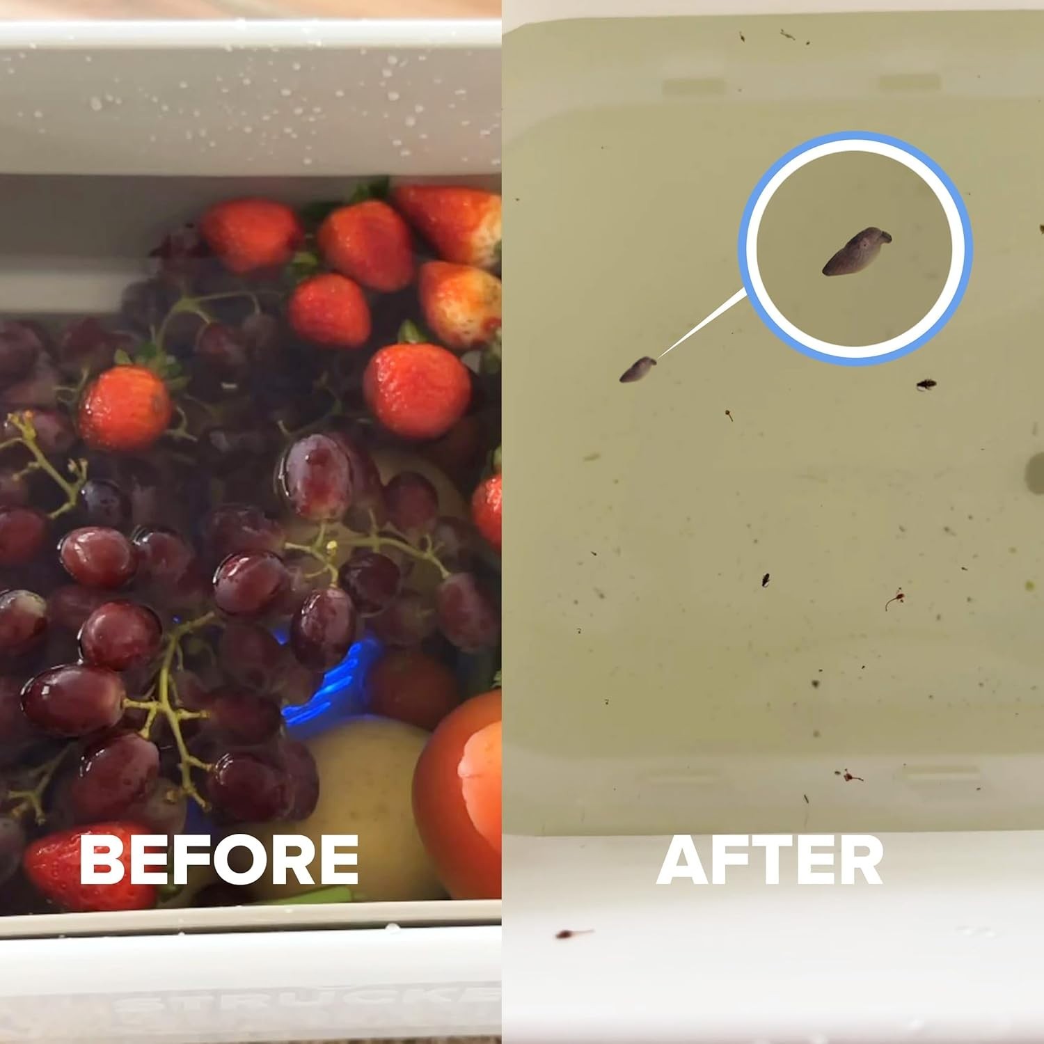 Fruit and Vegetable Washing Machine, 1- , Fruit Cleaner Device That Cleans Fr…