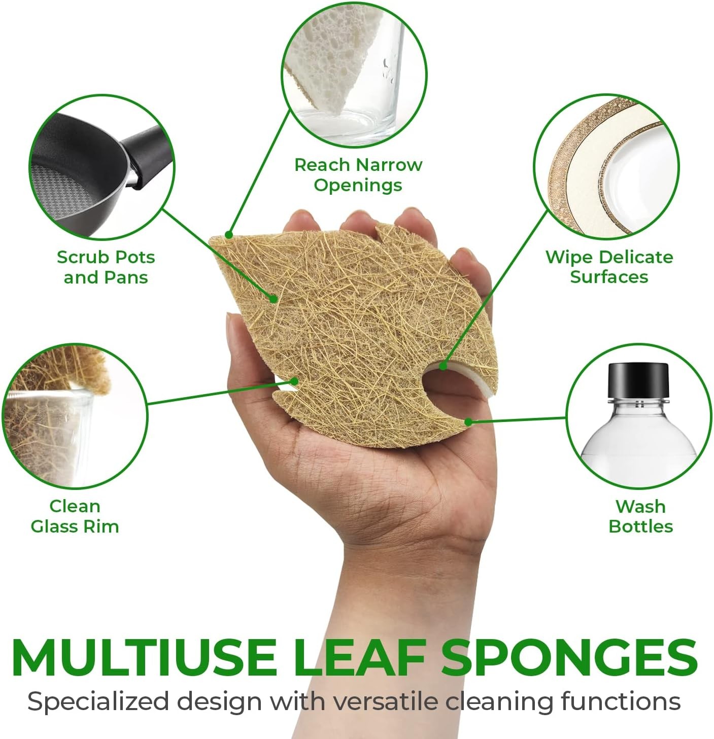 Natural Kitchen Sponges (6 Pack) – Biodegradable Cellulose & Coconut Scrubber