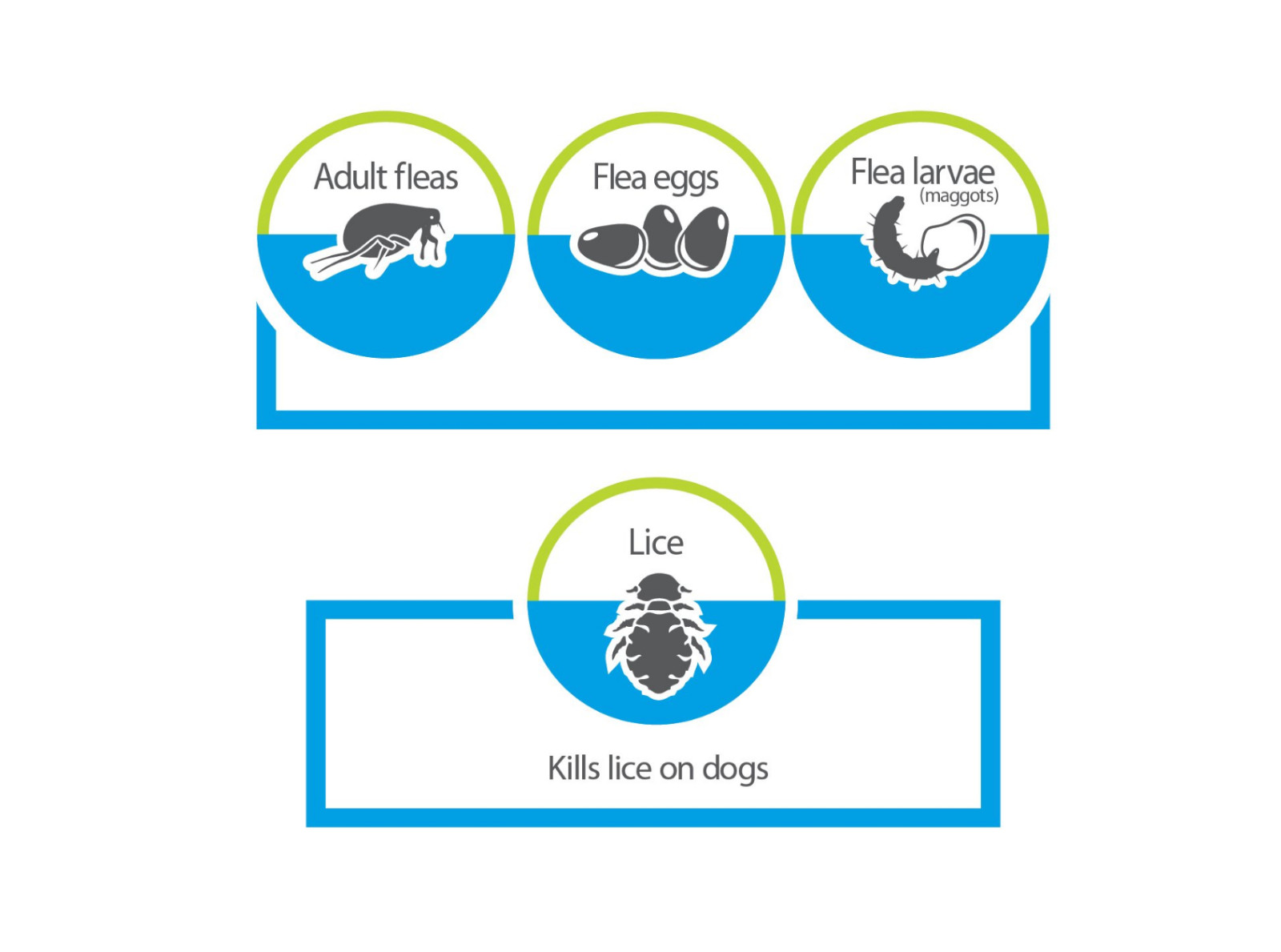 Kills Fleas & Adult Eggs, Bayer Advantage Household Fogger, three 2 oz canisters