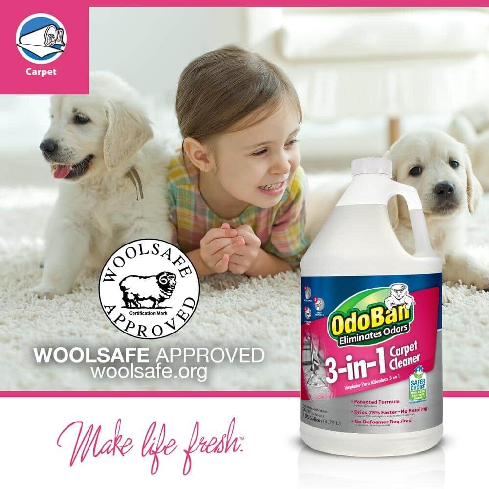 1 Gal. 3-in-1 Carpet Cleaner, Concentrated Carpet Cleaning Solution, EPA Safer C