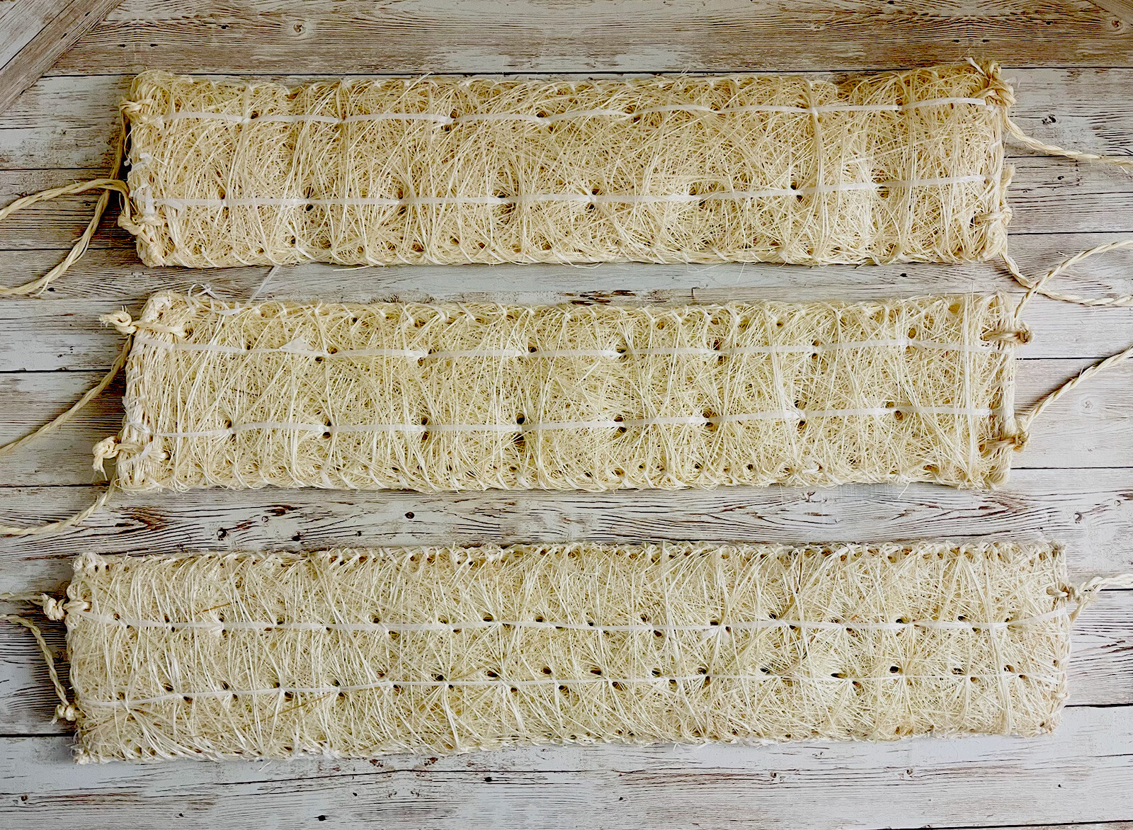 Lot 12x Estropajo De Ixtle Mexicano Ixtle Scourer Body Scrub 100% Natural Fibers