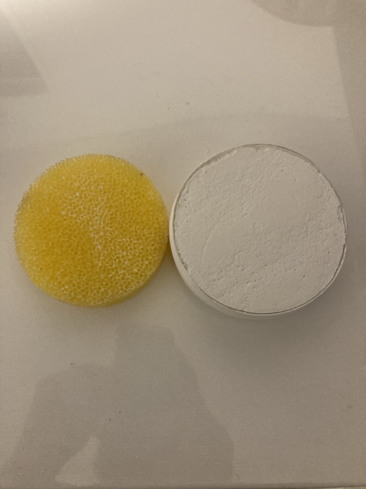 BioCleaner Citrus 10.5oz Plus Scrubber All Natural Multi Purpose