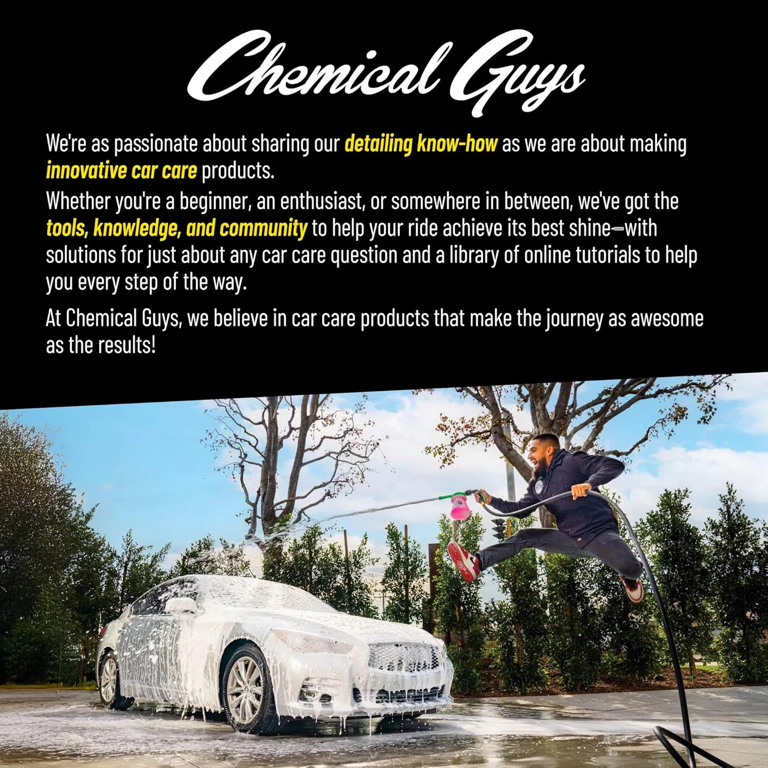 Chemical Guys Induro 7 Heavy Duty Interior Carpet & Upholstery Detailing Brush –