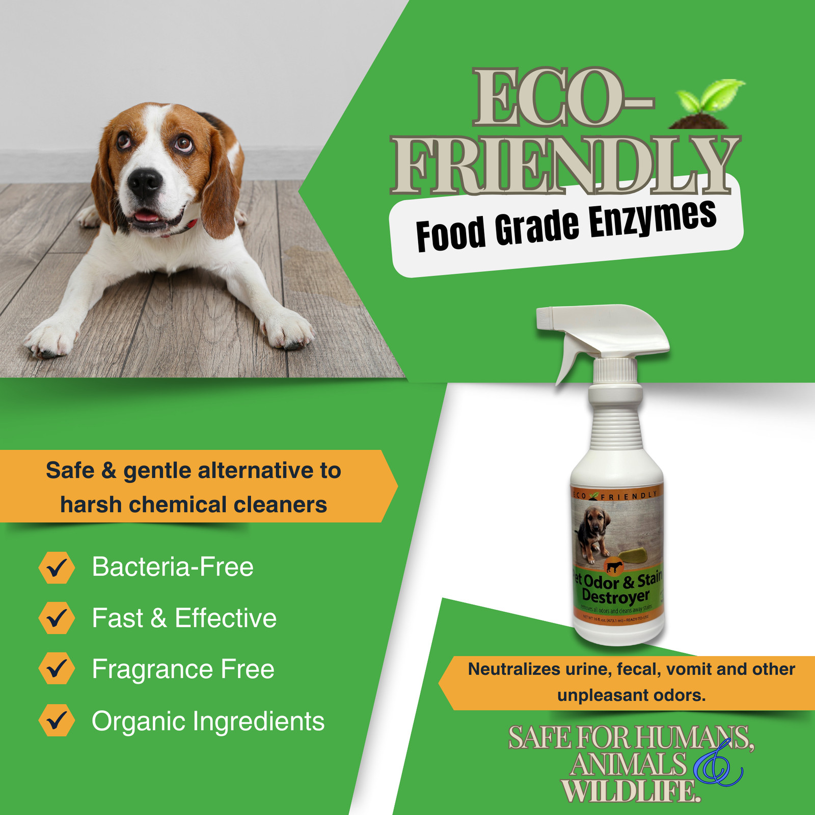 Enzyme Cleaner for Pet Stains & Odors | Urine & Stain Destroyer Spray | 16 oz &