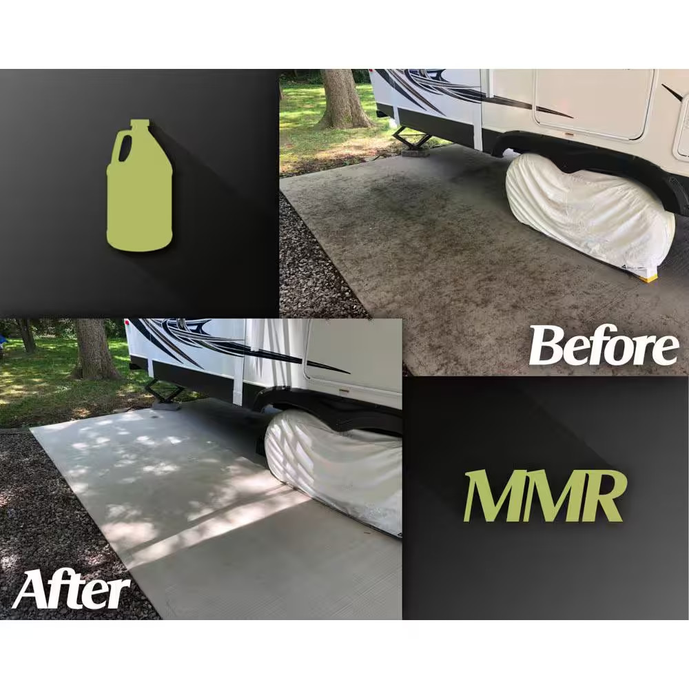 Professional 1-Gal. Instant Mold and Mildew Stain Remover