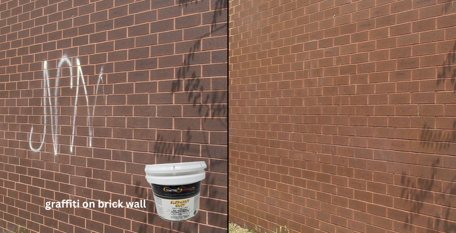 Graffiti Solutions – Elephant Snot Graffiti Remover – 1 Quart