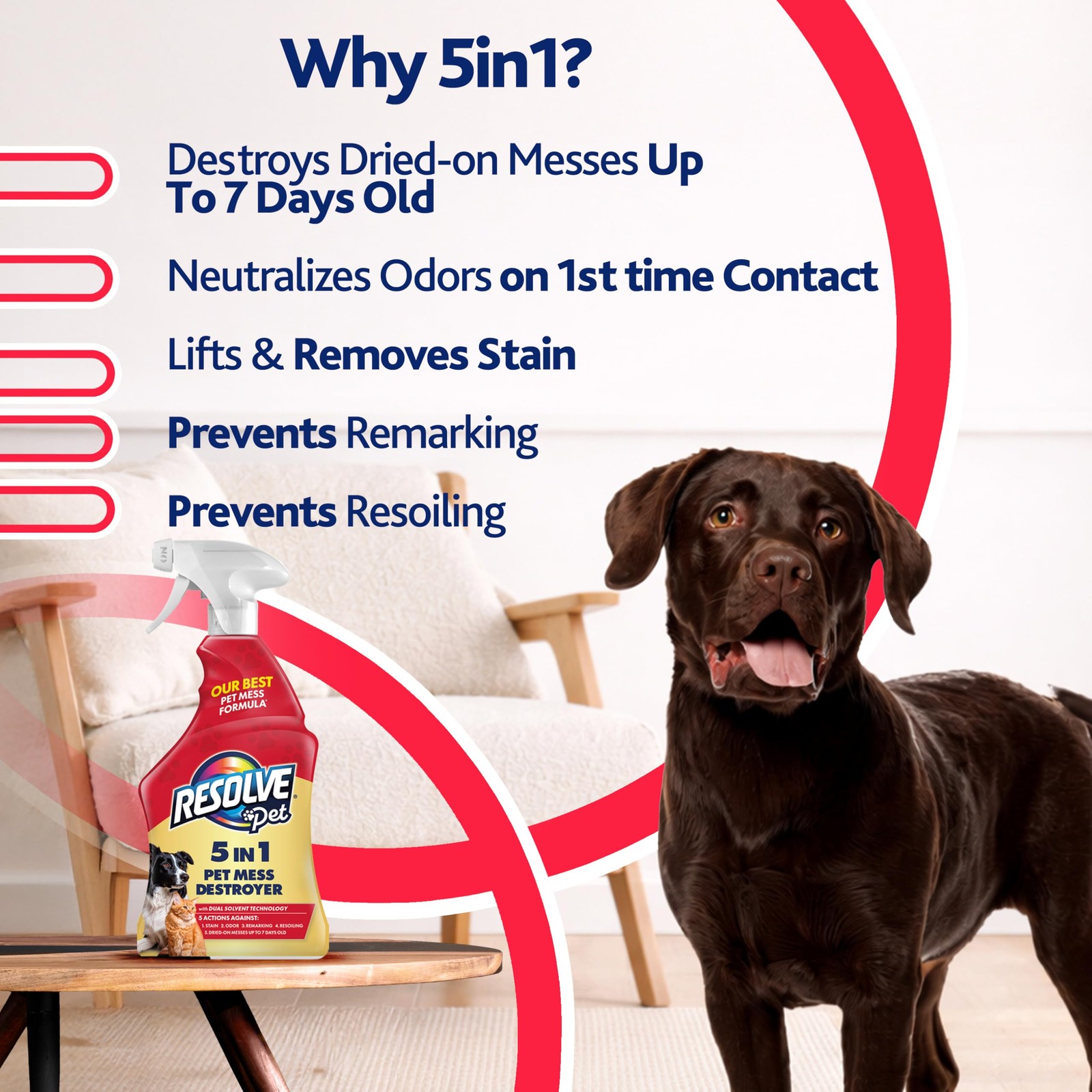 Resolve 5in1 Carpet Cleaner Spray – for Removal of Pet Stains & Odors Up to 7…