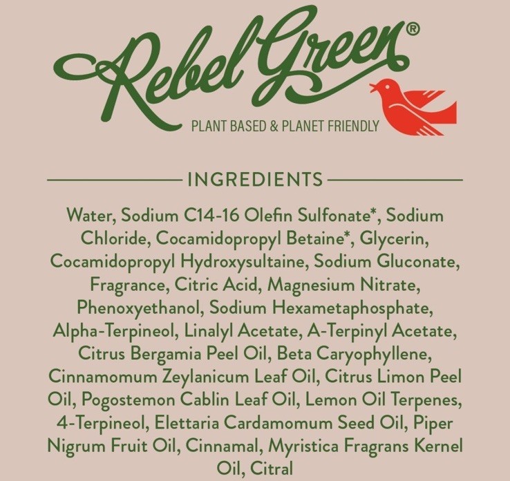 Rebel Green Super Deluxe Dish Soap Natural & Sustainable Chai Tea Scent 16oz