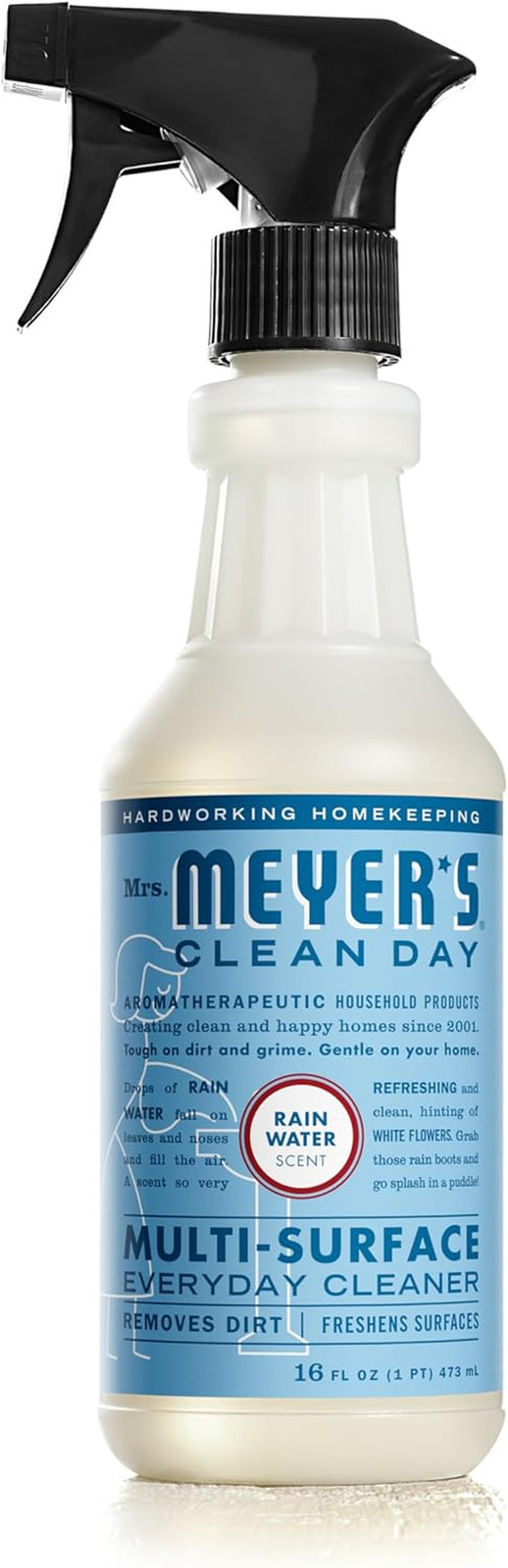 CLEAN DAY Multi-Surface Everyday Cleaner, Rain Water Scent, 16 Ounce Bottle