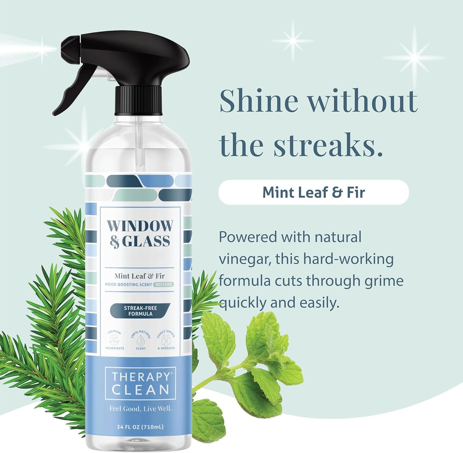 Clean Window & Glass Cleaner 24 oz. – Streak-, Ammonia-Mirror, Shower & Car W…