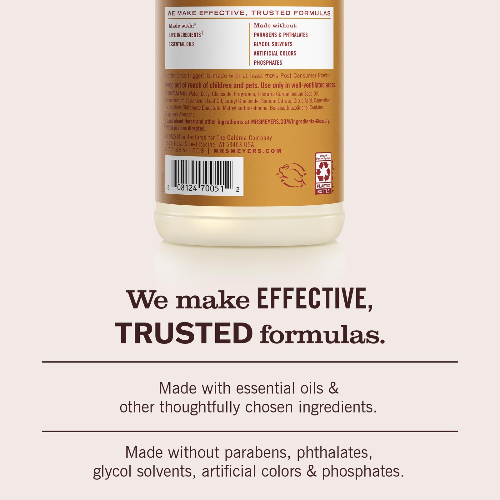 CLEAN DAY Multi-Surface Everyday Cleaner, Apple Cider Scent, 16 Fl Oz Bottle