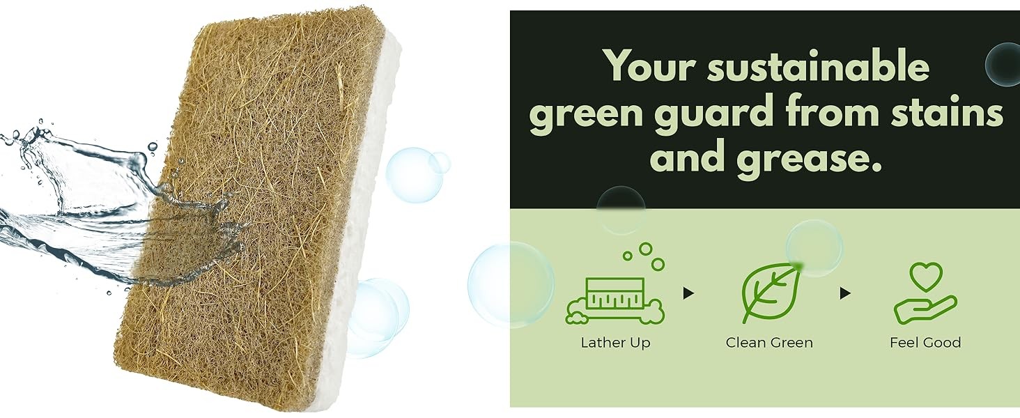 10 Pack Biodegradable Natural Kitchen Sponge – Compostable Cellulose and Coconut