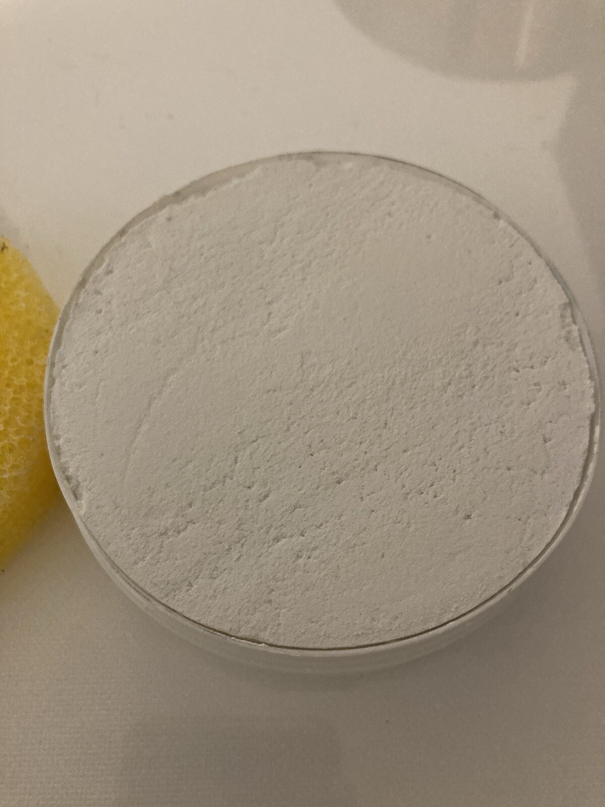 BioCleaner Citrus 10.5oz Plus Scrubber All Natural Multi Purpose