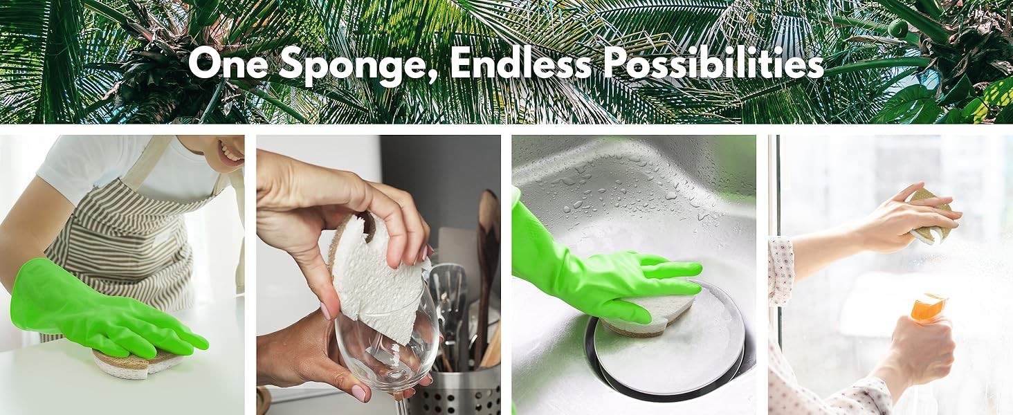Natural Kitchen Sponges (6 Pack) – Biodegradable Cellulose & Coconut Scrubber