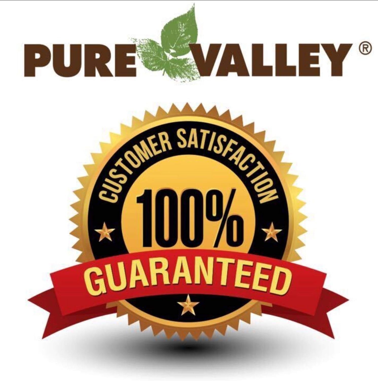 Headstone Cleaner – Grime & Stain Remover