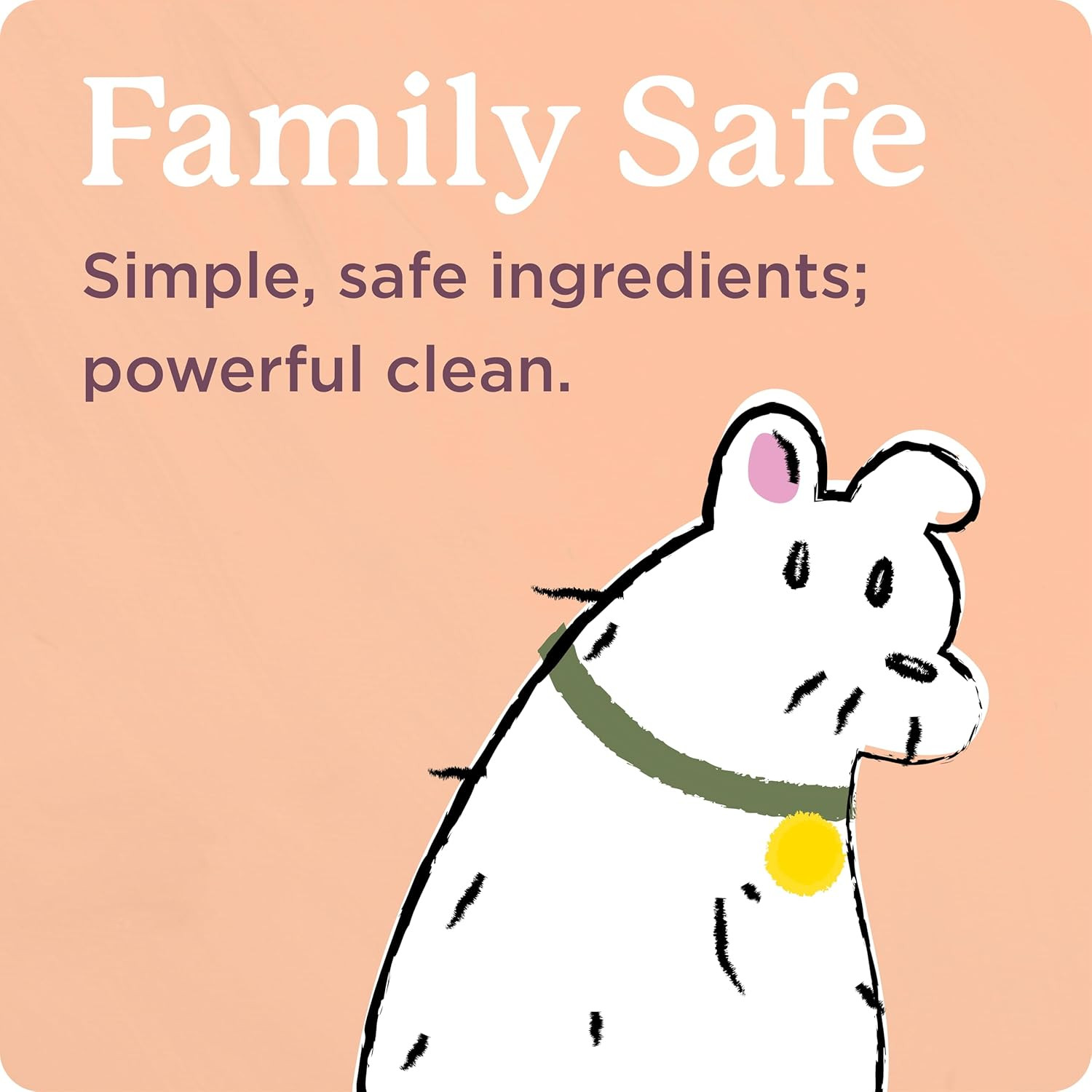 Carpet Cleaner| Stain & Soil Remover for Carpet, Rugs, Upholstery and MORE | PAC