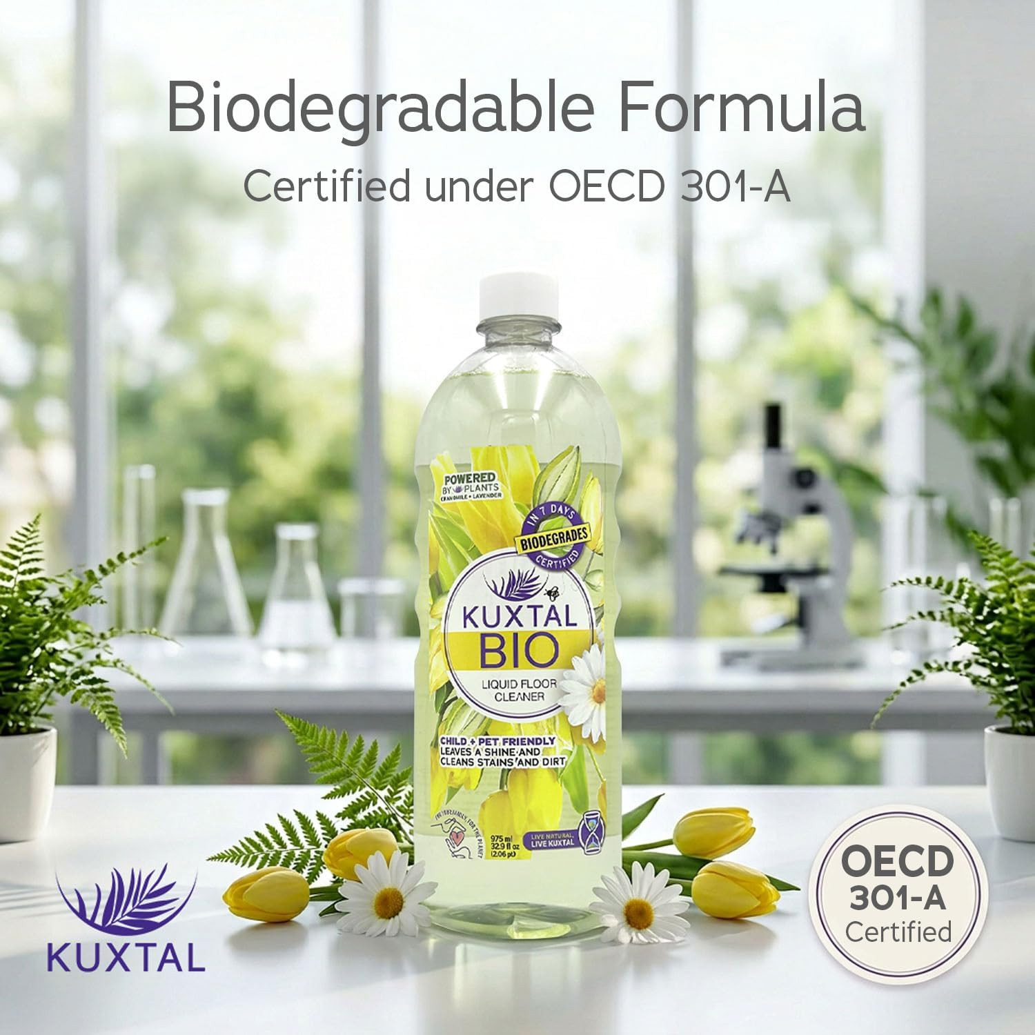 KUXTAL Natural Floor Cleaner, Pet Safe, Multi Surface Floor Cleaner, Biodegradab