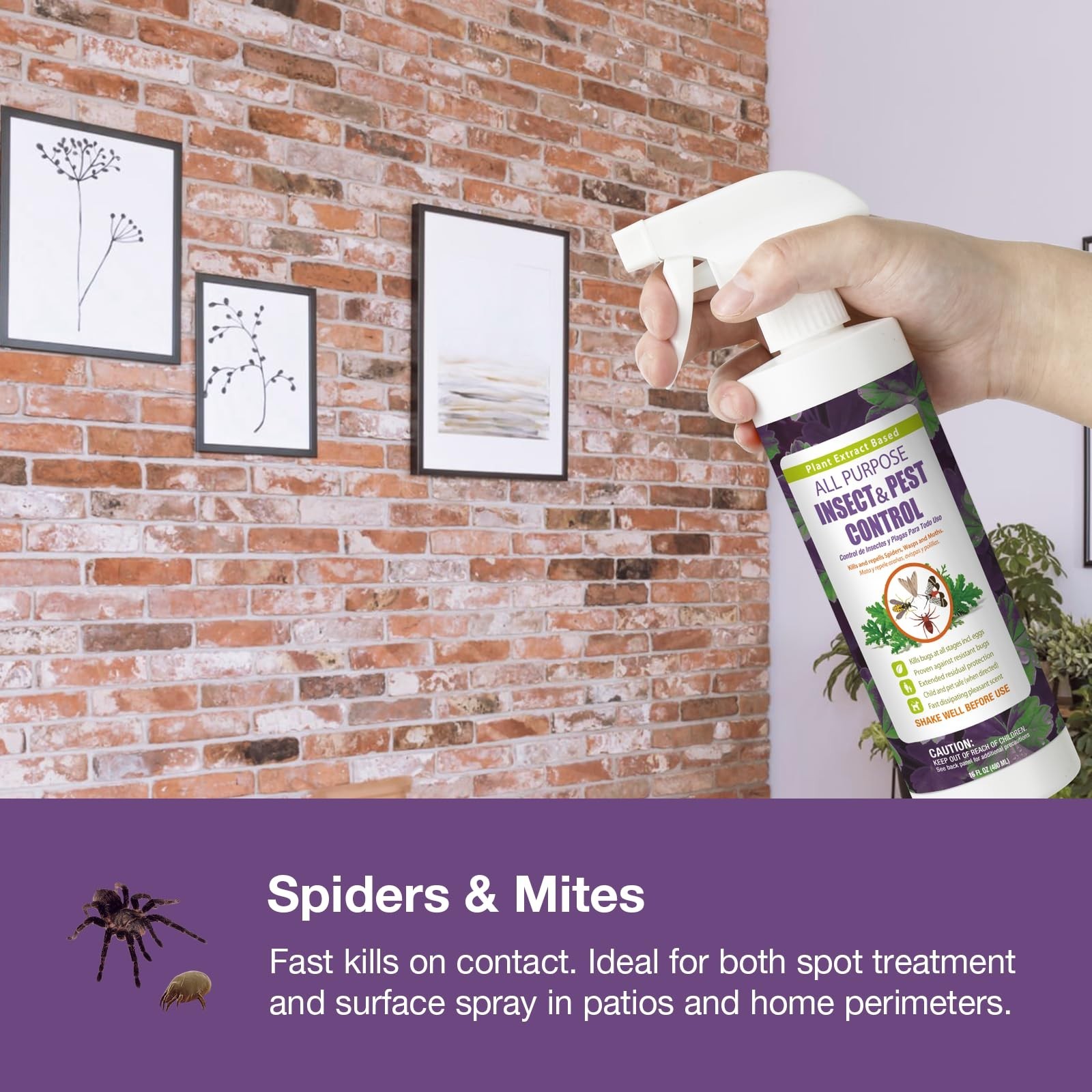 All-Purpose Insect Control 16 oz – Fast Kill Fleas, Roaches, Spiders, Non-Toxic