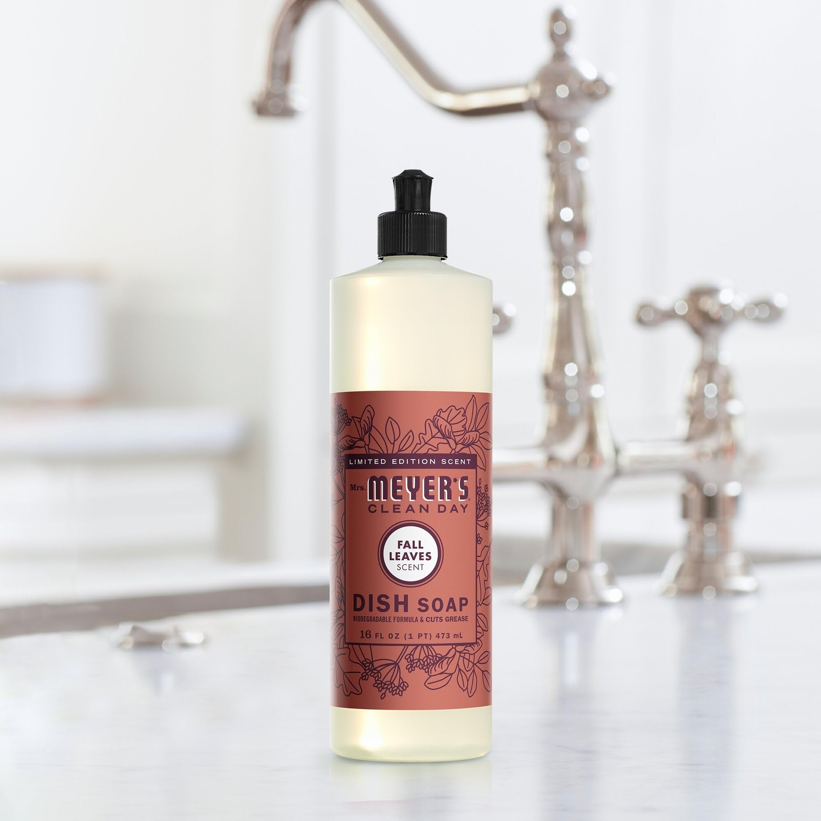 CLEAN DAY Dish Soap, Fall Leaves Scent, 16 fl oz (1)