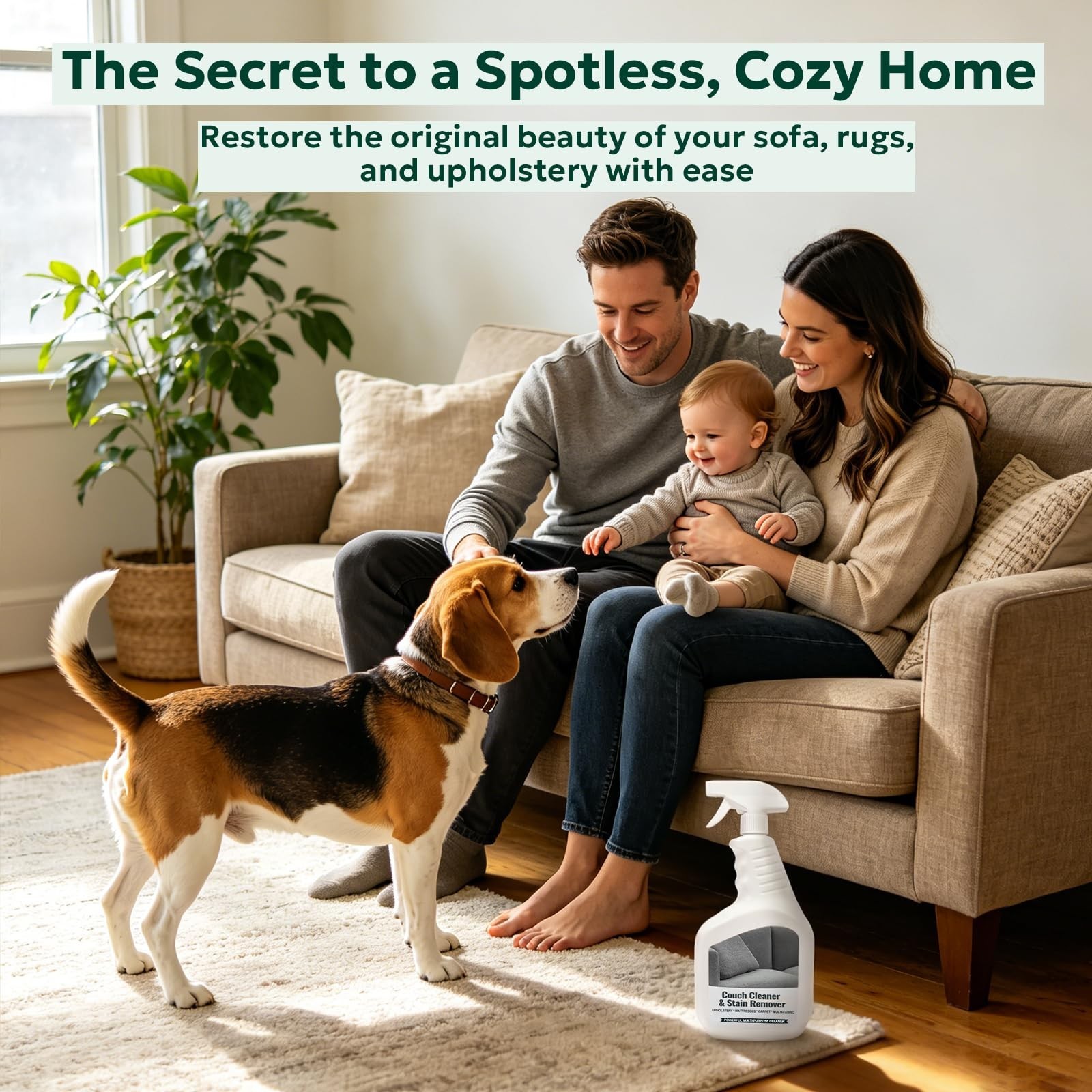 Multi-Surface Couch Stain Remover Spray – Pet-Safe Non-Toxic Upholstery Cleaner
