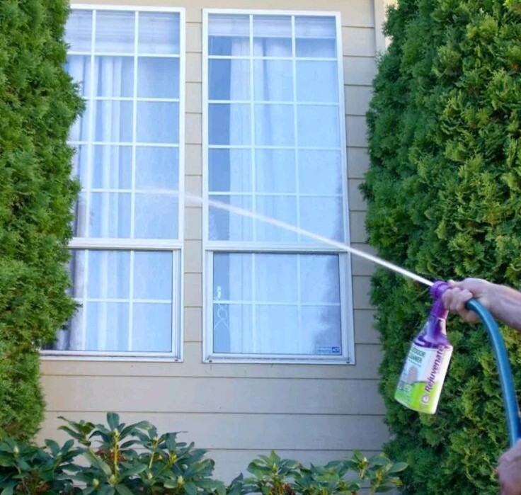 Rejuvenate High Performance Outdoor Window Spray & Rinse Cleaner with Hose End