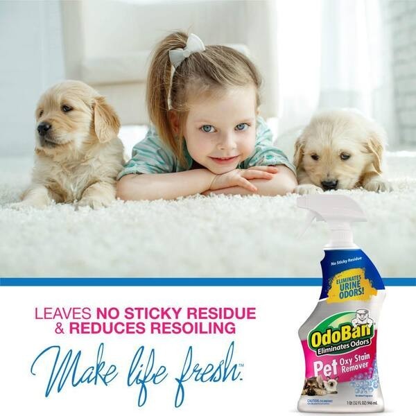 3 Pack OdoBan 32oz. Pet Oxy Stain Remover Eliminates Urine Odor Oxygen Activated