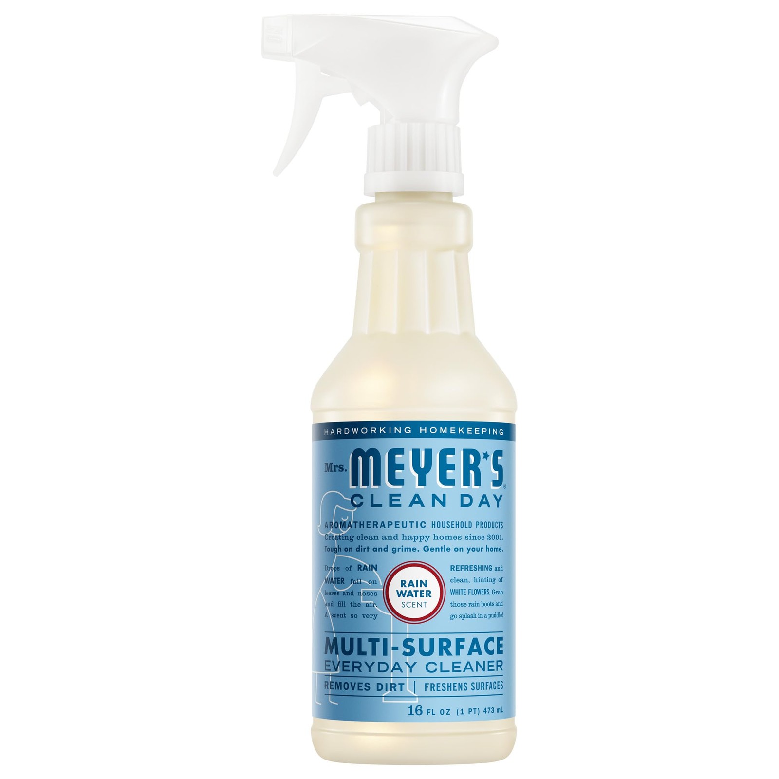 CLEAN DAY Multi-Surface Everyday Cleaner, Rain Water Scent, 16 Fl Oz Bottle