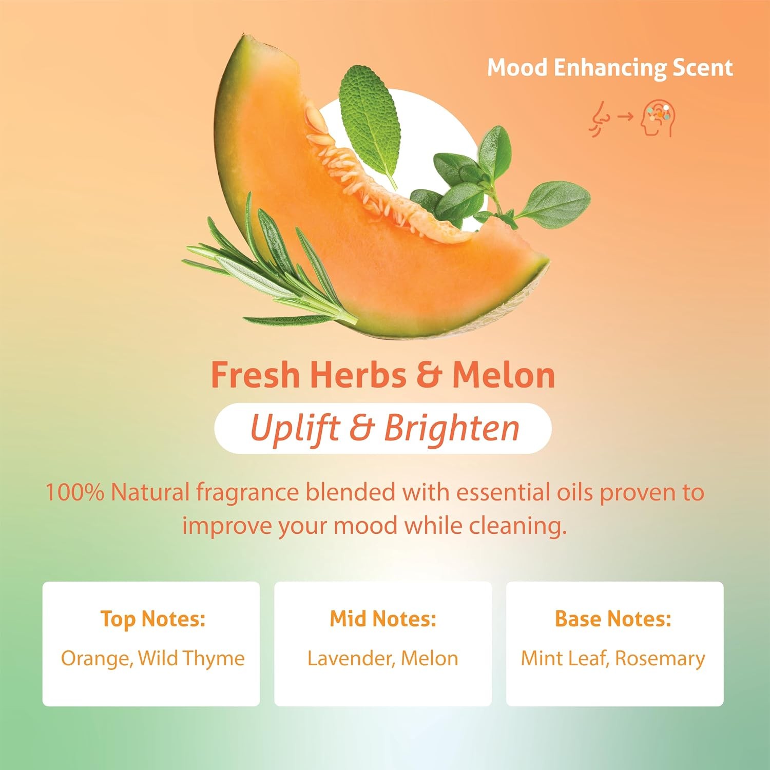 Plant Based Dish Soap Liquid – Fresh Herbs & Melon fl 16 oz – Non Toxic All