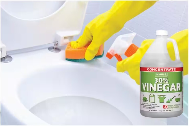 Harris 30% Vinegar Chemical-Free Concentrate & 32oz. Spray Bottle – 1 Gallon